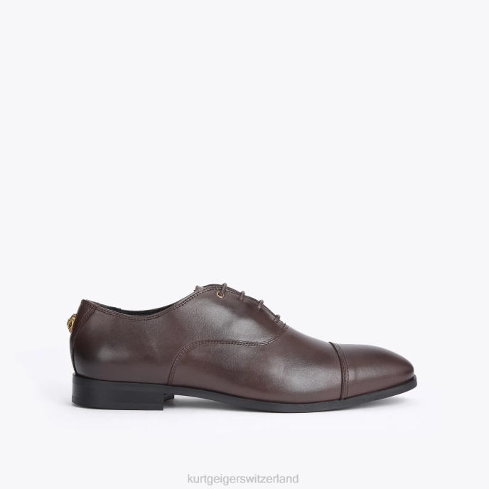 Kurt Geiger Hommes Londres Harris Oxford Z246647 | chaussures brun